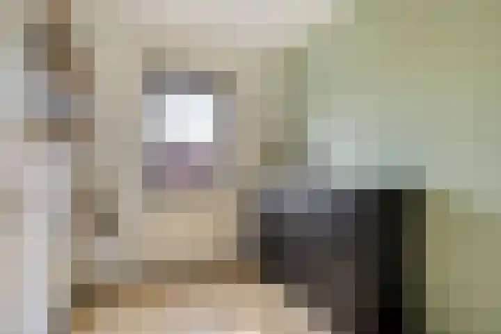Wislaan 49 Uden thumbnail 26