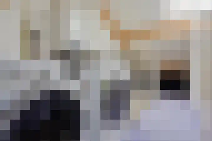 Wislaan 49 Uden thumbnail 27