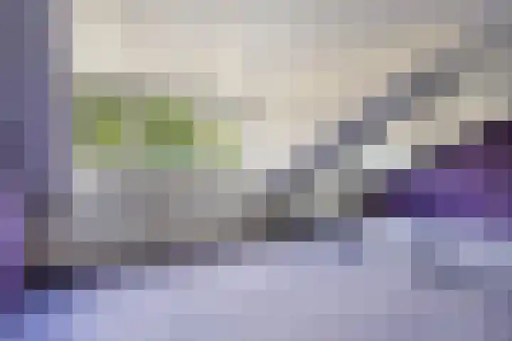Wislaan 49 Uden thumbnail 29