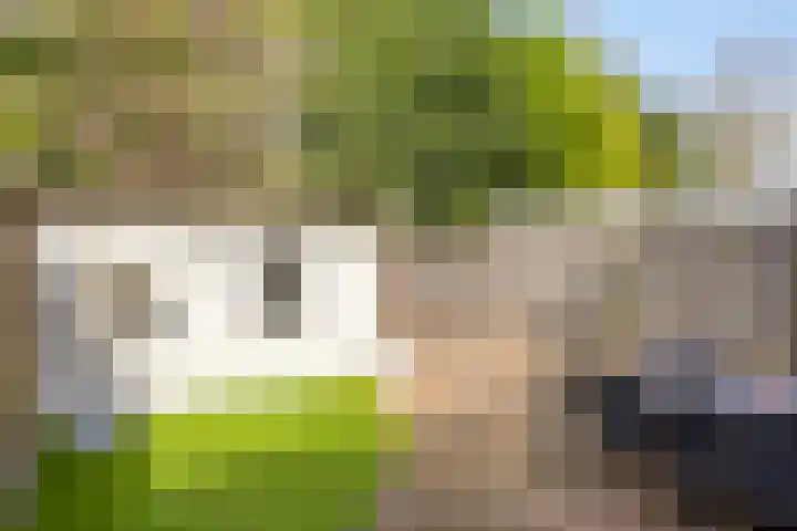 Wislaan 49 Uden thumbnail 33