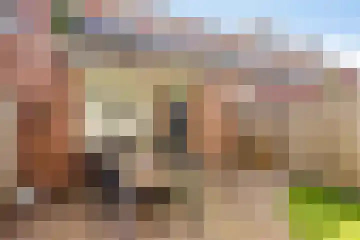 Wislaan 49 Uden thumbnail 36
