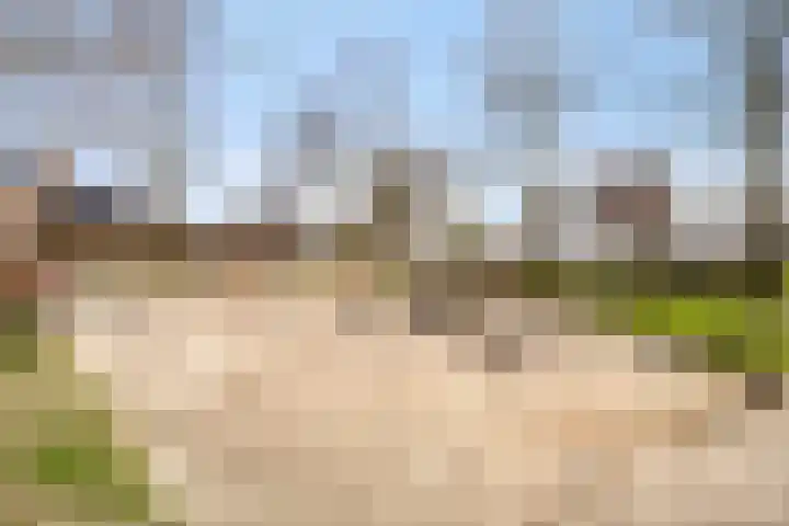Wislaan 49 Uden thumbnail 38