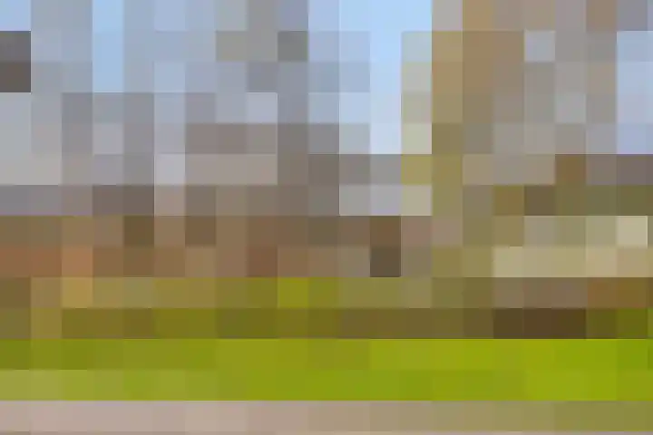 Wislaan 49 Uden thumbnail 39