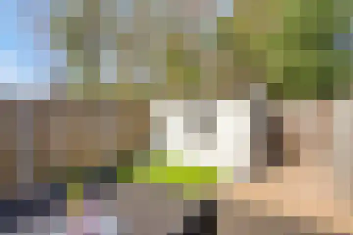 Wislaan 49 Uden thumbnail 4