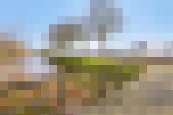 Wislaan 49 Uden thumbnail 40