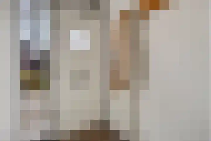 Wislaan 49 Uden thumbnail 6