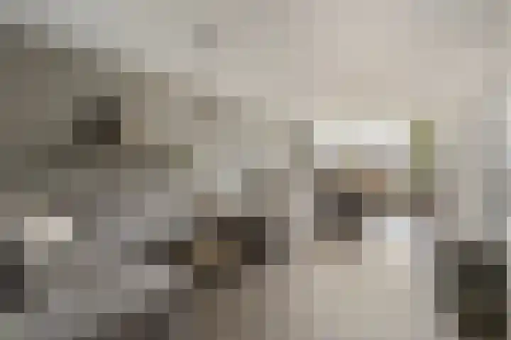 Wislaan 49 Uden thumbnail 9