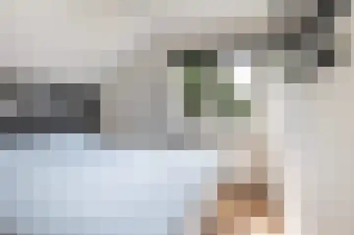 Wispelweg 21 Luttenberg thumbnail 17