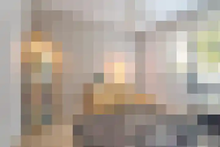 Wisselslag 2 Breda thumbnail 13