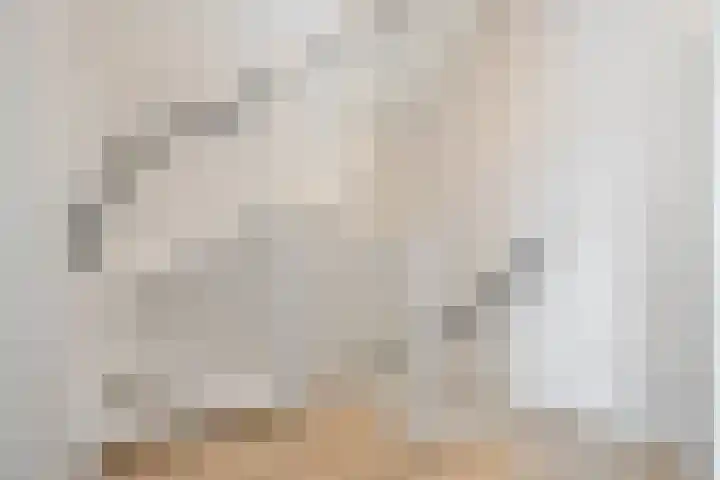 Wisselslag 2 Breda thumbnail 20
