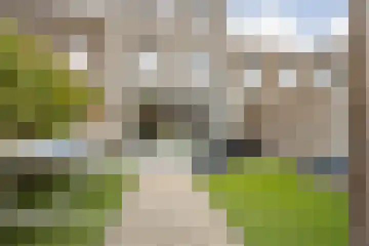 Wisselslag 2 Breda thumbnail 29