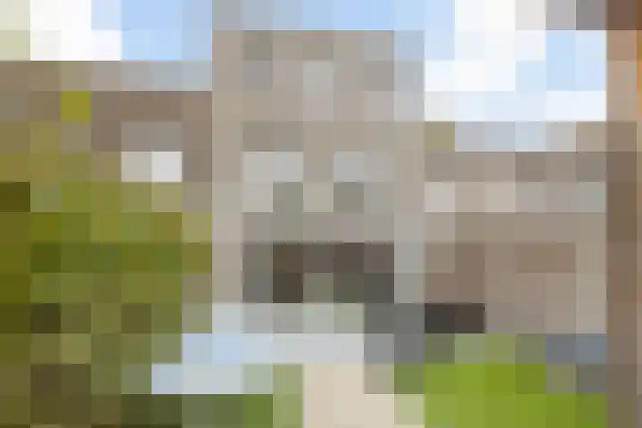 Wisselslag 2 Breda thumbnail 30