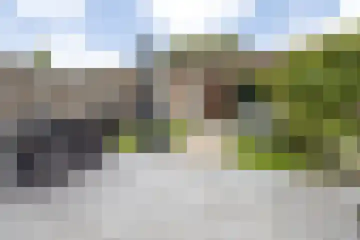 Wisselslag 2 Breda thumbnail 31