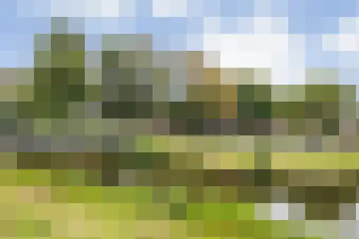 Wisselslag 2 Breda thumbnail 34