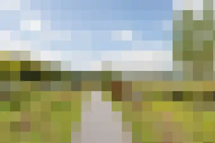 Wisselslag 2 Breda thumbnail 35