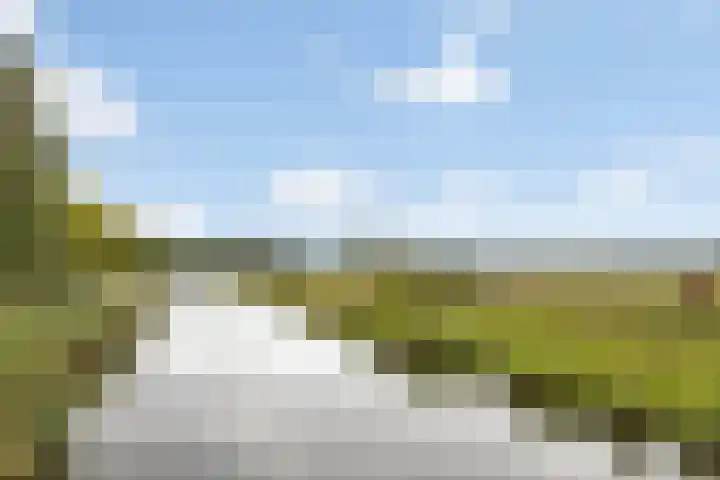 Wisselslag 2 Breda thumbnail 36