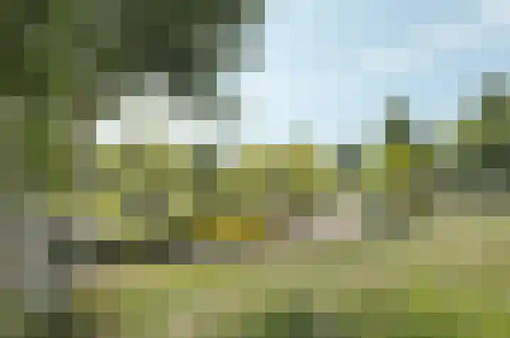 Wisselwei 9 Barendrecht thumbnail 30