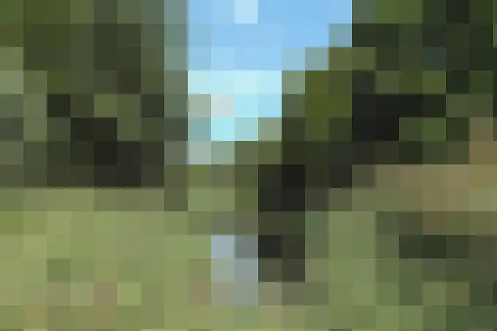 Wisselwei 9 Barendrecht thumbnail 32