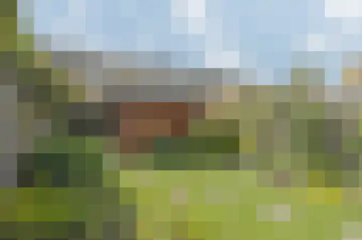 Wisselwei 9 Barendrecht thumbnail 5
