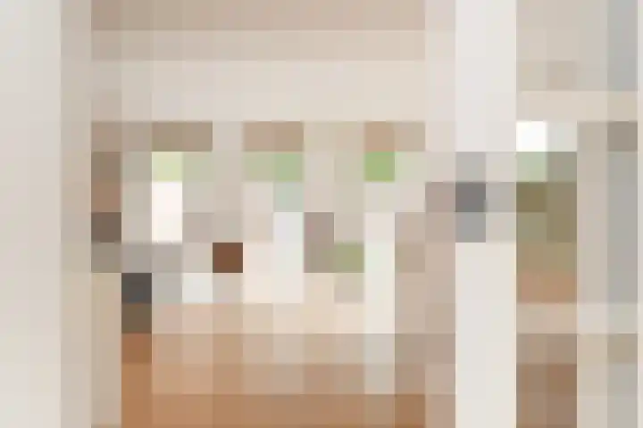 Wit-geellaan 13 Zoetermeer thumbnail 10