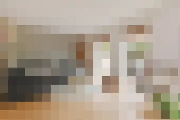 Wit-geellaan 13 Zoetermeer thumbnail 13