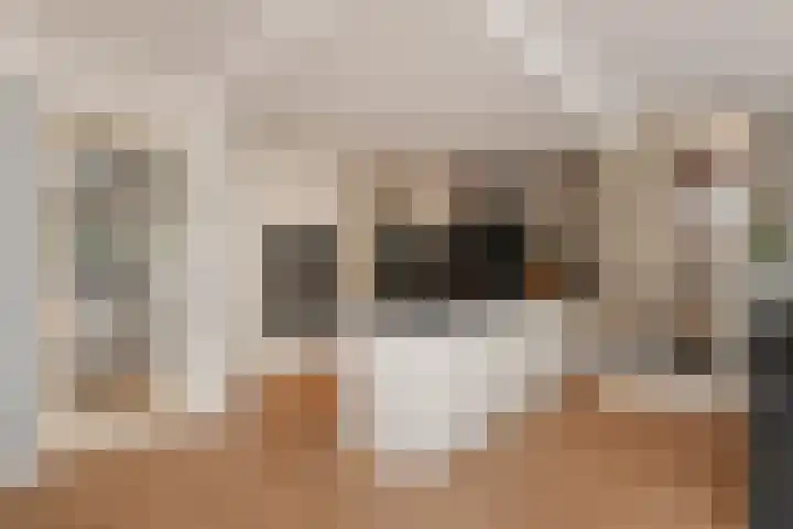 Wit-geellaan 13 Zoetermeer thumbnail 20