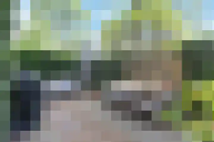 Wit-geellaan 13 Zoetermeer thumbnail 24