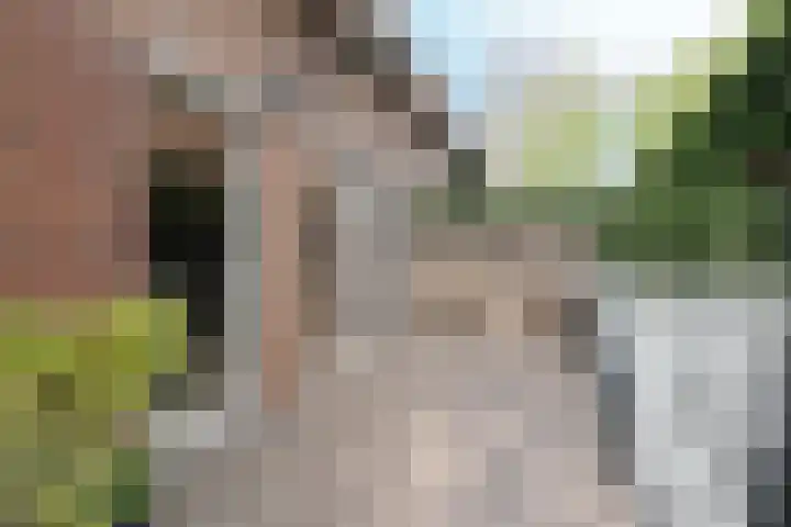 Wit-geellaan 13 Zoetermeer thumbnail 29