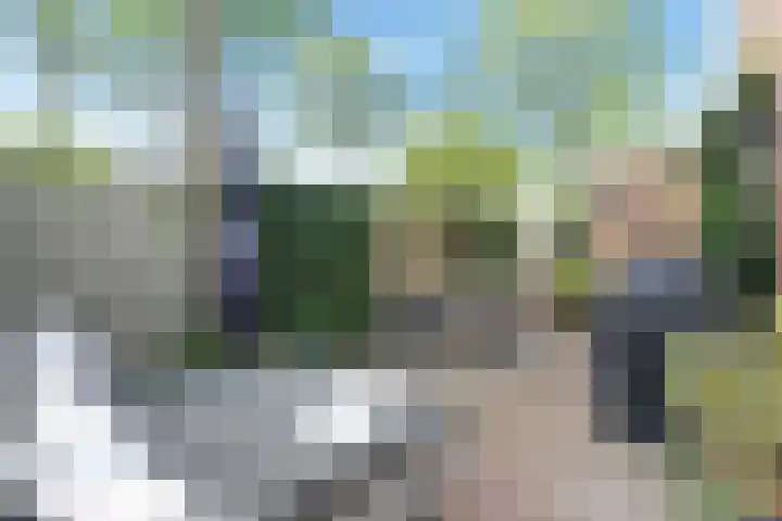 Wit-geellaan 13 Zoetermeer thumbnail 31
