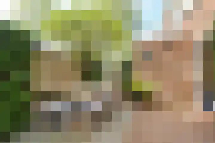 Wit-geellaan 13 Zoetermeer thumbnail 32