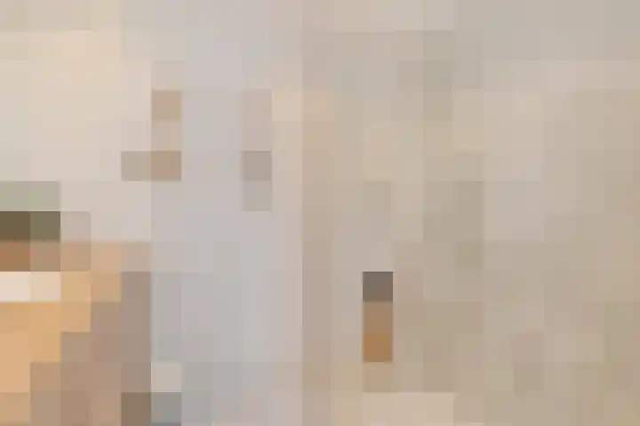 Wit-geellaan 13 Zoetermeer thumbnail 37