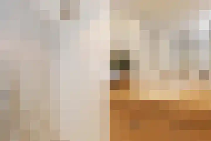 Wit-geellaan 13 Zoetermeer thumbnail 38