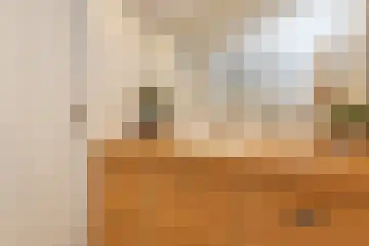 Wit-geellaan 13 Zoetermeer thumbnail 39