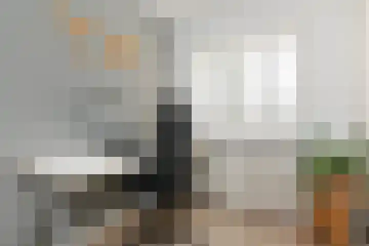 Wit-geellaan 13 Zoetermeer thumbnail 42
