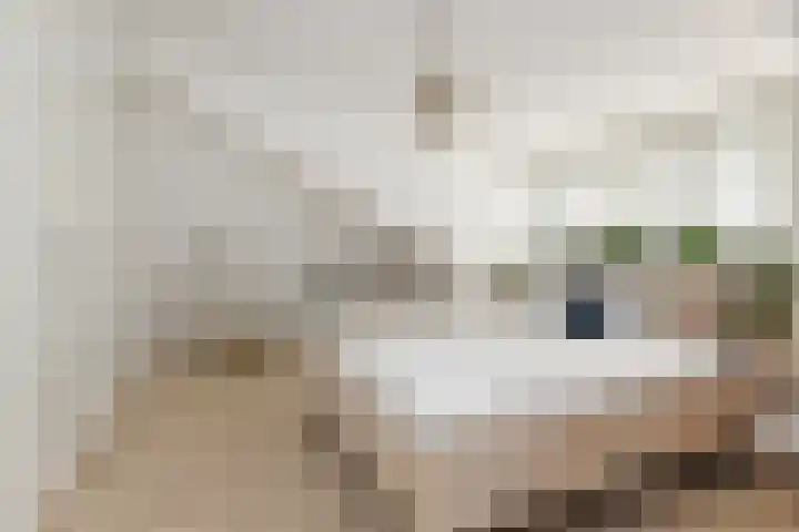 Wit-geellaan 13 Zoetermeer thumbnail 52