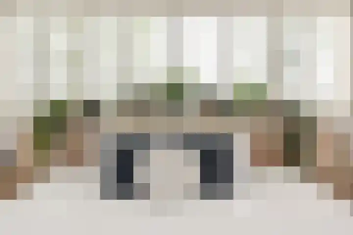 Wit-geellaan 13 Zoetermeer thumbnail 55
