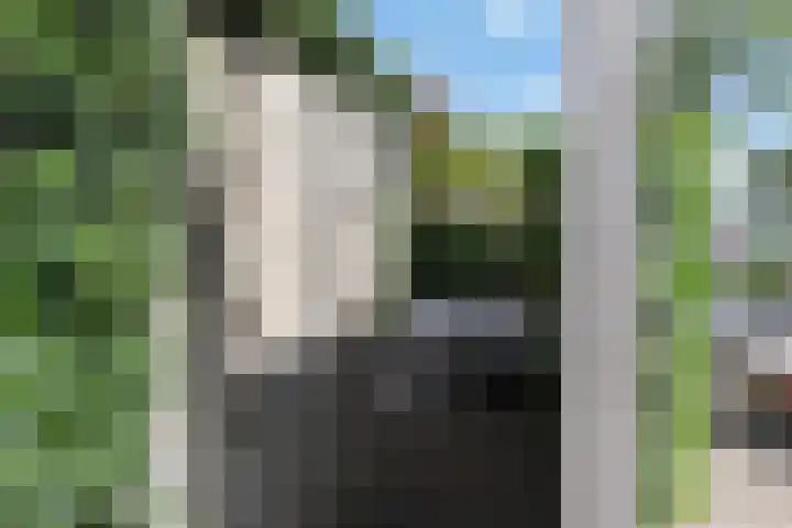 Wit-geellaan 13 Zoetermeer thumbnail 57