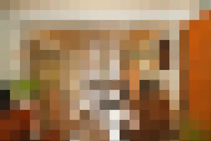 Wit Kruis 1 Steenbergen thumbnail 12