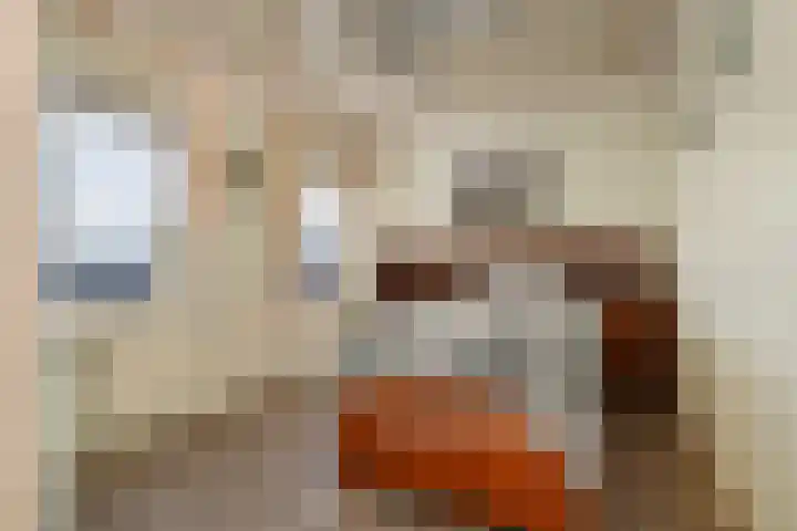 Wit Kruis 1 Steenbergen thumbnail 18