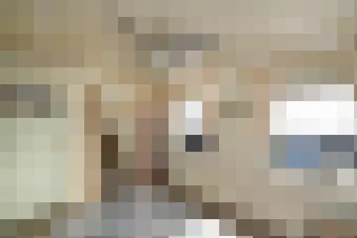 Wit Kruis 1 Steenbergen thumbnail 19