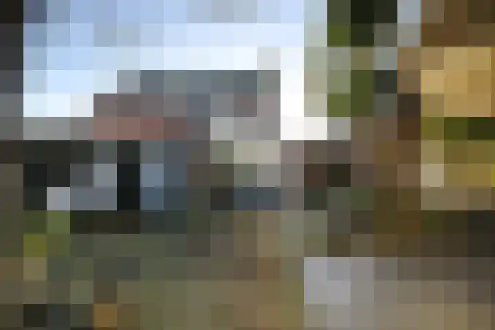 Wit Kruis 1 Steenbergen thumbnail 28