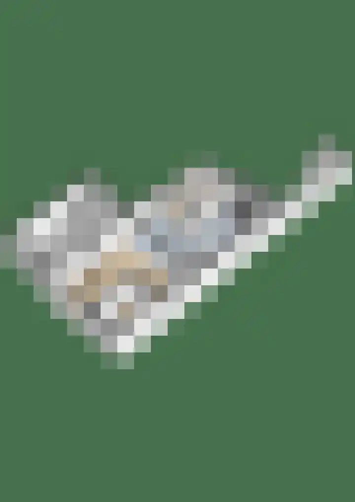 Wit Kruis 1 Steenbergen thumbnail 41