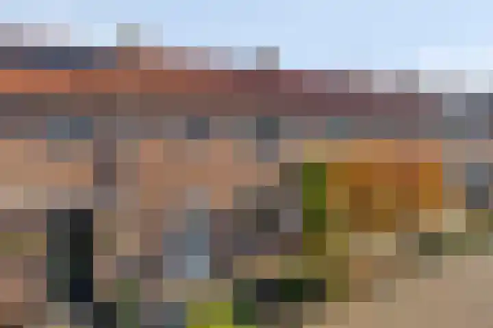 Witbloemstraat 3 Ridderkerk thumbnail 17