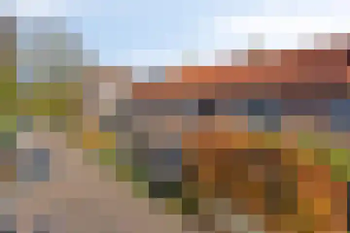 Witbloemstraat 3 Ridderkerk thumbnail 18
