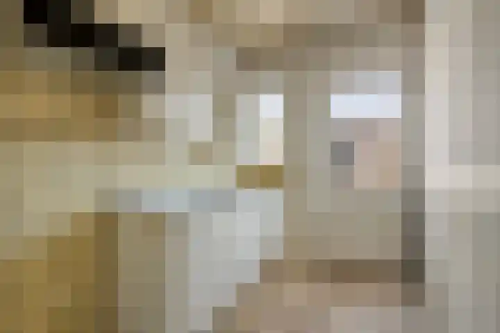Witbloemstraat 3 Ridderkerk thumbnail 7