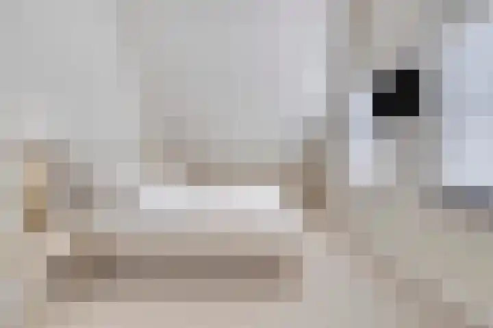 Witbol 2 Lochem thumbnail 32
