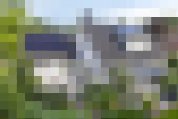 Witbol 2 Lochem thumbnail 42