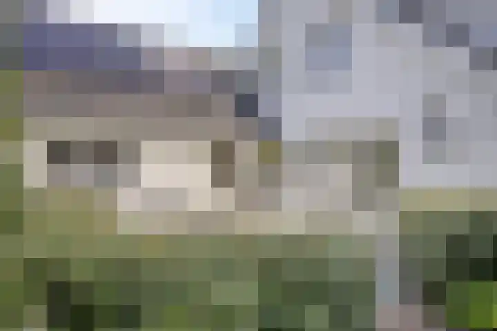 Witbol 2 Lochem thumbnail 49
