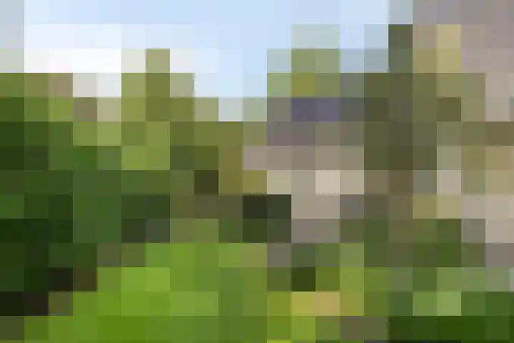 Witbol 2 Lochem thumbnail 51