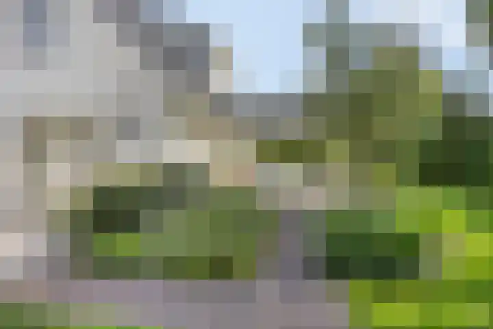 Witbol 2 Lochem thumbnail 53